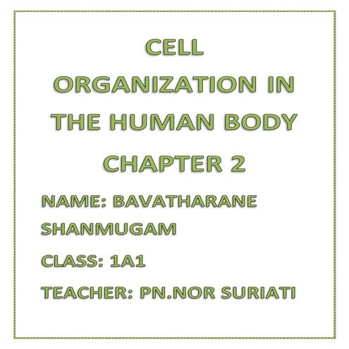 Why humans are complex organisms