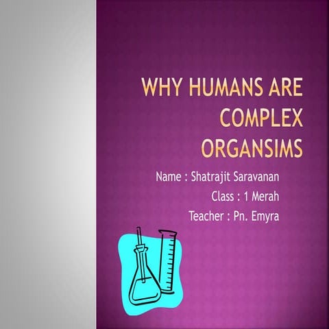 Why humans are complex organsims?