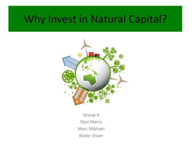 Why invest in natural capital
