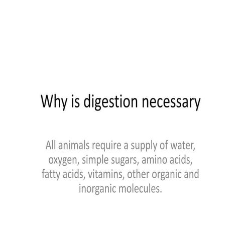 Why is digestion necessary