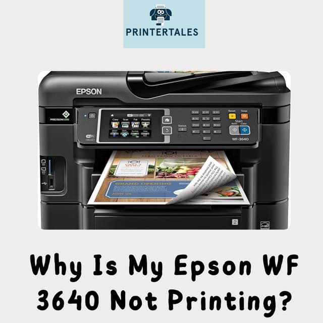 Why Is My Epson WF 3640 Not Printing Printer Tales PDF