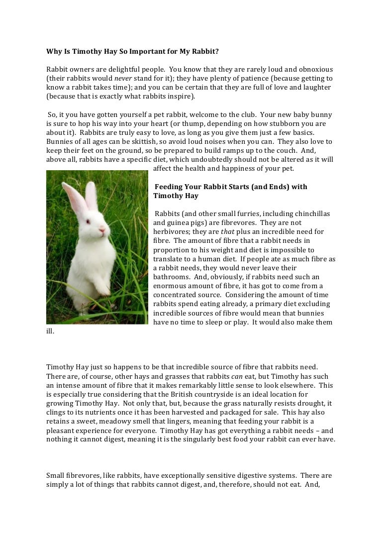 growing timothy hay for rabbits