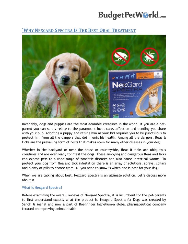 nexgard spectra budget pet products
