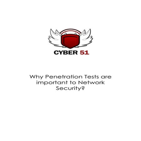 Why Penetration Tests Are Important Cyber51