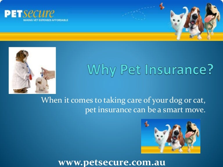 Why pet insurance required for your Pets