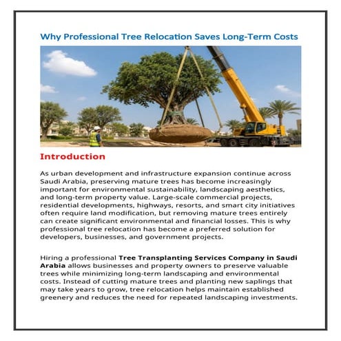 Why Professional Tree Relocation Saves Long-Term Costs in Saudi Arabia ...