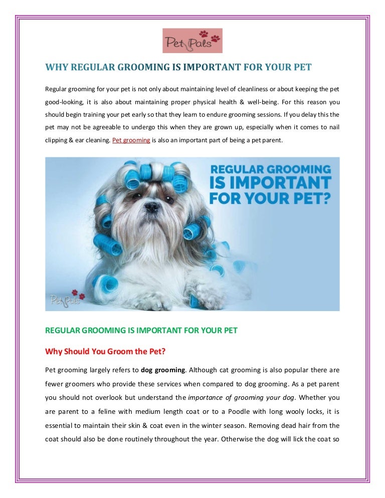 WHY REGULAR GROOMING IS IMPORTANT FOR YOUR PET