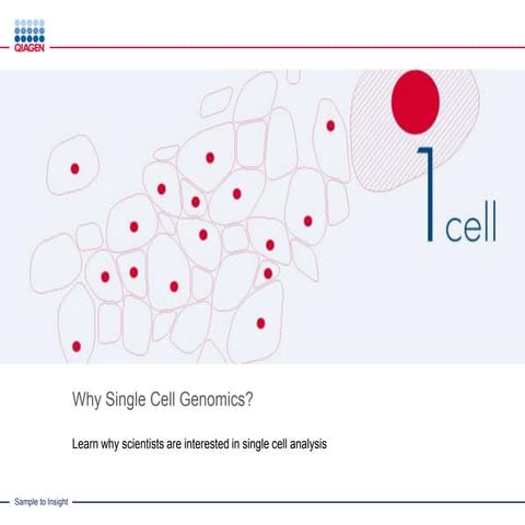 Why Scientist Analyze Single Cells