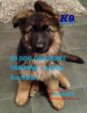 k9 dog obedience
