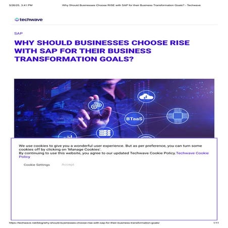 Why Should Businesses Choose RISE with SAP for their Business Transformation ...