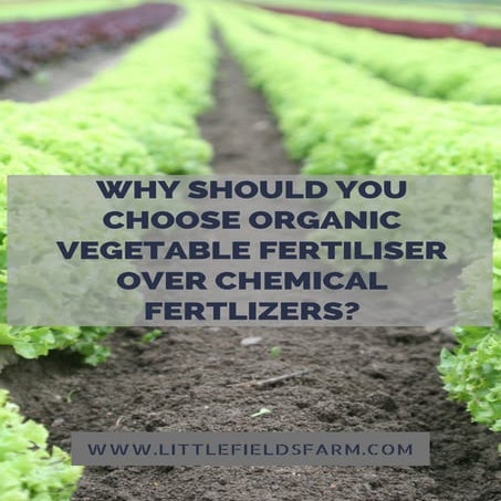 Why should you choose organic vegetable fertiliser over chemical fertlizers