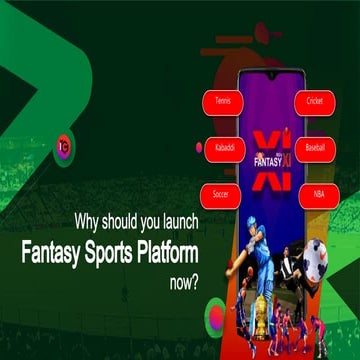 Why should you launch fantasy cricket platform now?