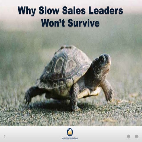 Sales Productivity | PDF