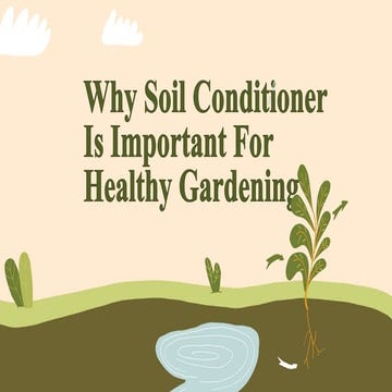 Why Soil Conditioner Is Important For Healthy Gardening