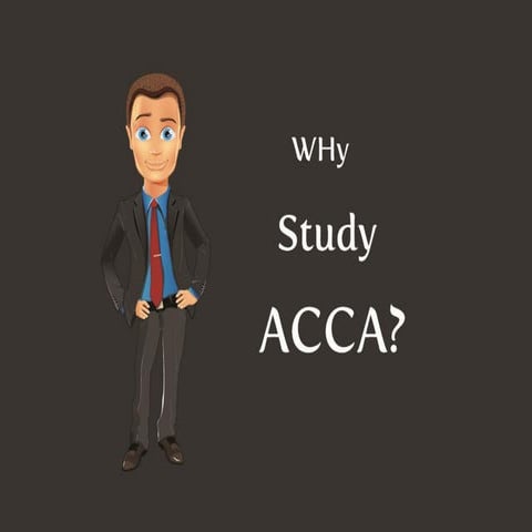 chartered accountant | PPTX