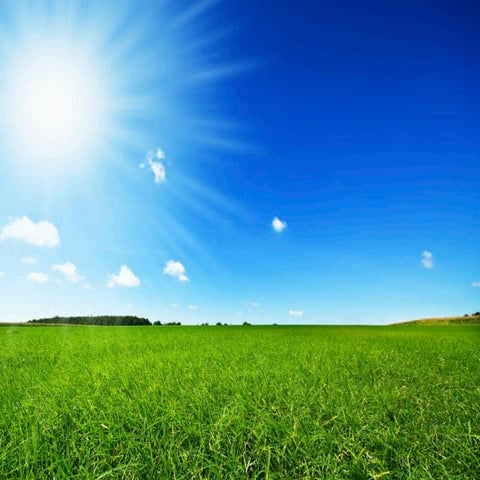 Why the web won't do