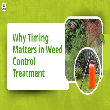 Why Timing Matters in Weed Control Treatment