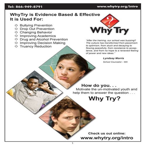 WhyTry: Evidence Based & Effective