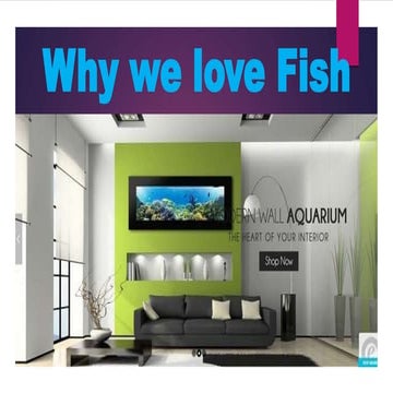 Why we love fish