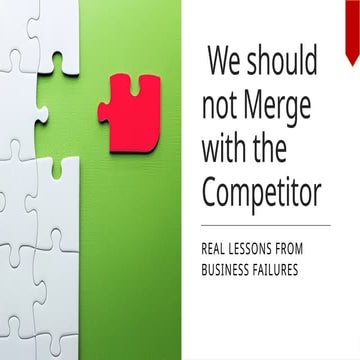 Non-profit mergers – why, how and what not to do! | PDF