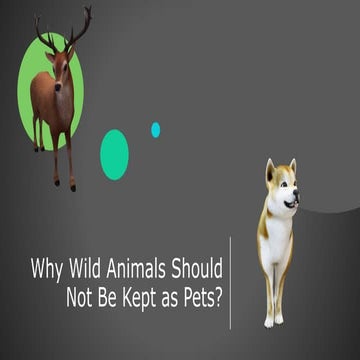 Why Wild Animals Should Not Be Kept as.pptx