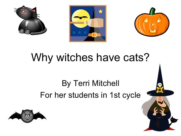 Why witches have cats