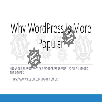 Why word press is more popular