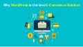 Why WordPress is the best E-Commerce Solution