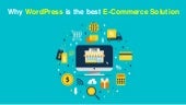 Why WordPress is the best E-Commerce Solution