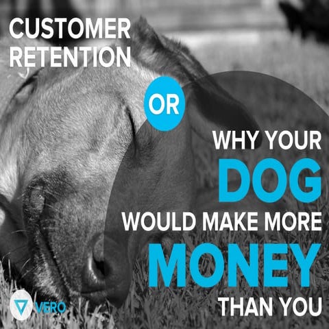 Customer Retention: Why Your Dog Would Make More Money Than You