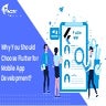 Why You Should Choose Flutter for Mobile App Development.pdf