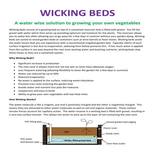 Wicking Bed Gardening: A Water Wise Solution to Growing Your Own Vegetables