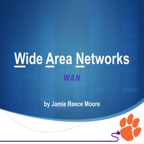Wide Area Networks - Jamie Reece Moore