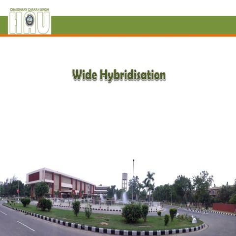 Wide cross and Bridge species