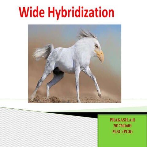 Wide hybridization