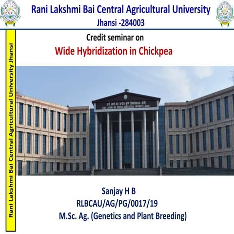 Wide hybridization in chickpea