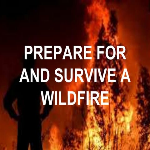 Prepare For and Survive a WILDFIRE | PPTX