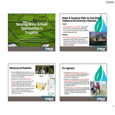 Securing Water & Food: Opportunities in Irrigation by Dr. Peter McCornick