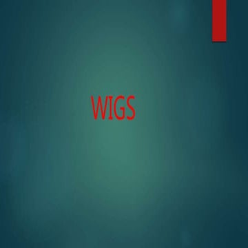 Wigs | PPTX