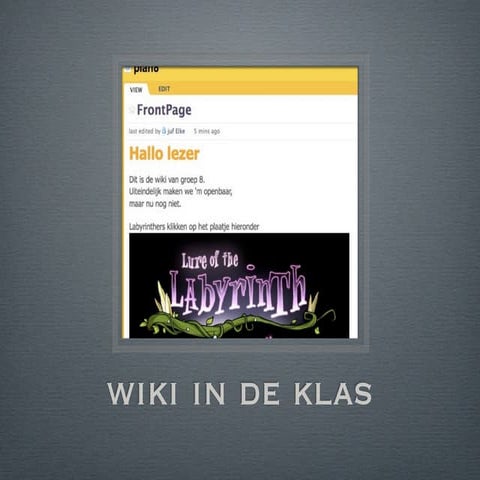 Wiki In De Klas