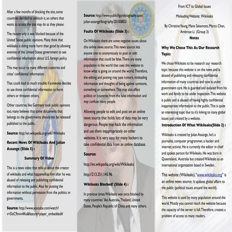 Wikileaks brochure