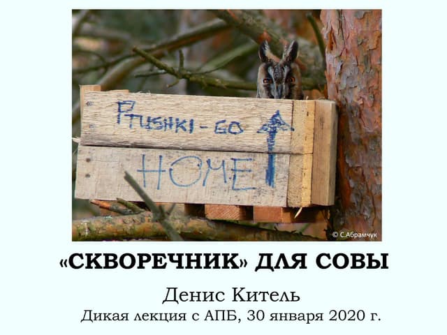 Скворечник для совы