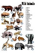 Learning animal names with pictures english lesson
