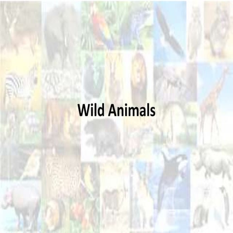Wild animals