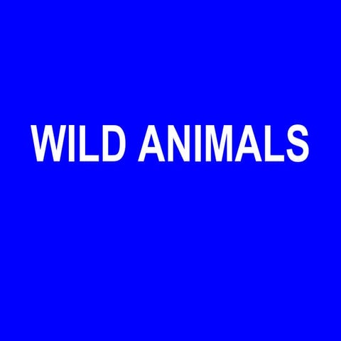 Wild animals