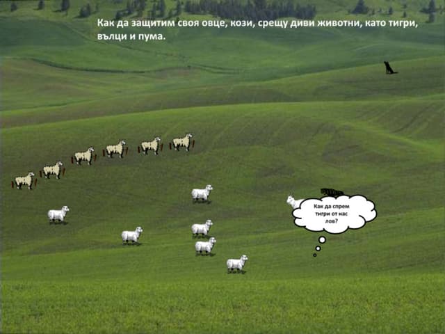 Wild animals 2 bulgarian