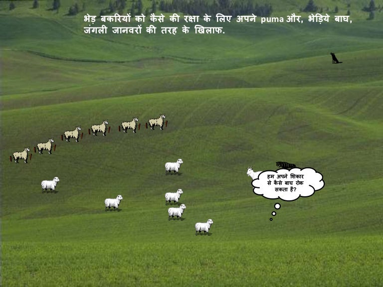 Wild animals 2 hindi