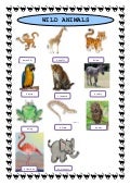 Learning animal names with pictures english lesson