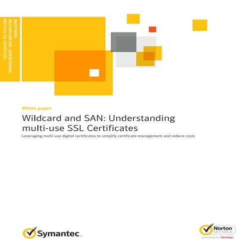 Wildcard and SAN - Understanding Multi Domain SSL Certificate