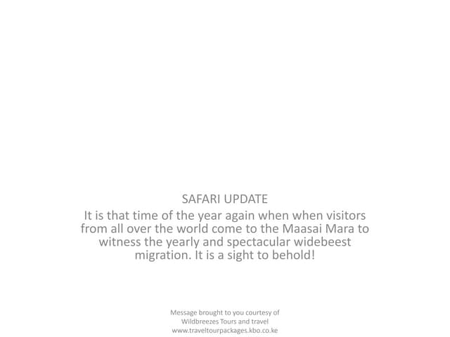 Wildebeest migration in the mara